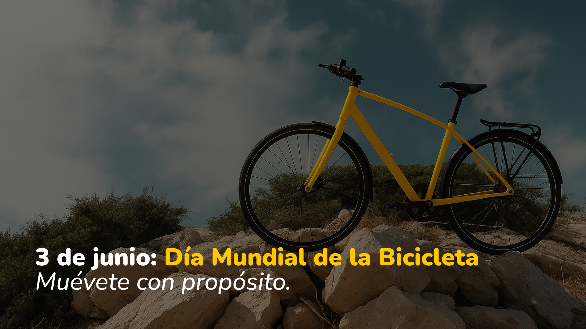 Día de la Bicicleta: por qué se celebra cada 3 de junio y cómo sumarte desde la comunidad Bikleta